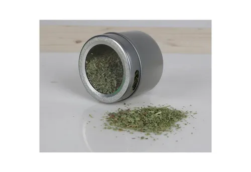 CEPEWA Gewürzstreuer Aufbewahrungsdose magnetisch Gewürzstreuer Gewürzbehälter Salz Pfeffer