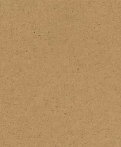 Rasch Tapeten Vliestapete Braun 10,05 m x 0,53 m in braun von Rasch