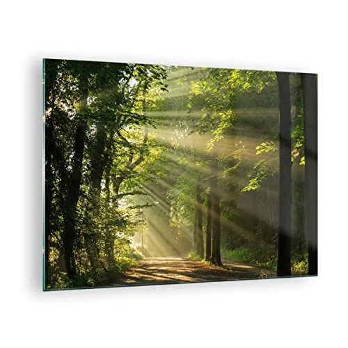 Bilder auf Glas Wald Baum Natur Glasbild 70x50cm Wandbilder Dekoration Wohnzimmer Schlafzimmer Küche Deko Klein Wanddeko Bild im Glas Wand Kunstdruck Art Modern Wall Decor Glasdruck GAA70x50-3661