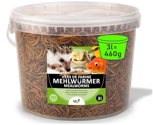 UGF - Premium Mehlwürmer Getrocknet - 460g im 3 Liter Eimer, Vogelfutter Wildvögel Ganzjährig, Igelfutter, Eichhörnchen Futter, Hamster Futter