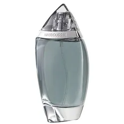 Mauboussin Pour Homme Eau de Parfum 100 ml - Herrendüfte mit elegantem, klassischem Duftprofil, ideal für den anspruchsvollen Herren, der Exklusivität schätzt.