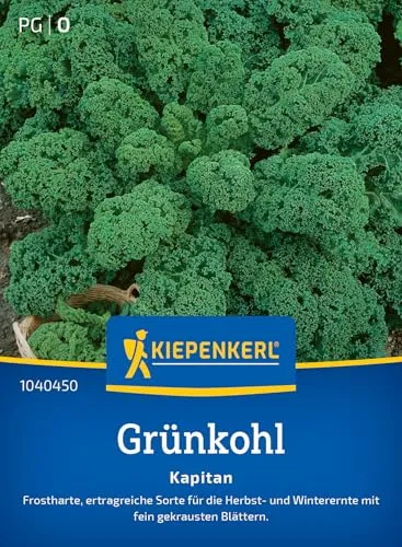 Kiepenkerl Grünkohlsamen Kapitan 1040450 für 25 Pflanzen