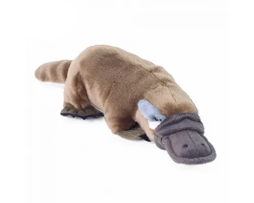 Teddys Rothenburg Schnabeltier Plüschtier 30 cm - Stofftier Schnabeltier in braun/grau, aus kuschelweichem Plüsch, perfekt zum Kuscheln und Spielen. Maschinenwaschbar bis 30°C für einfache Pflege.