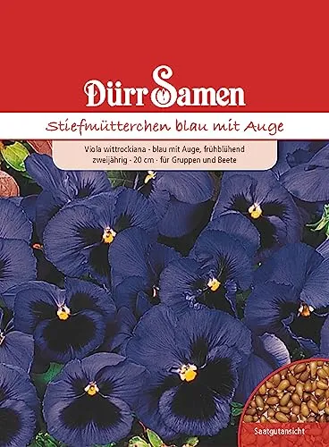 Stiefmütterchen Samen Blau Stiefmütterchensamen Veilchen ca 200 Korn Saatgut Blumensamen Garten Hochbeet Balkonkasten Kübel Dürr Samen
