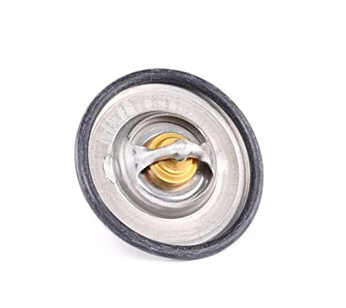 Borgwarner (Wahler) Thermostat, Kühlmittel 3141.87D