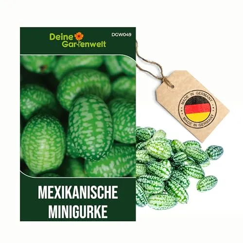 Mexikanische Minigurke Samen