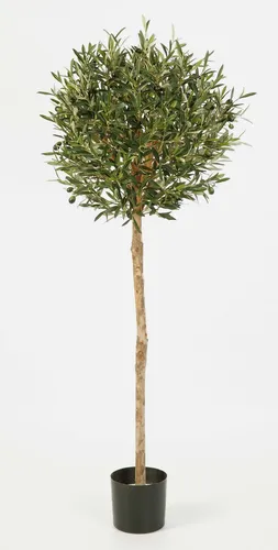 artplants Kunstolivenbaum PLATON, Echtstamm, mit Früchten, 140 cm, Ø 55 cm