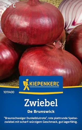 Kiepenkerl Zwiebelsamen De Brunswick 1011400 – Gemüsesamen für rote Speisezwiebeln mit einem Inhalt für 4 bis 6 laufende Meter und einer Wuchshöhe von 30 bis 40 cm - Saatgut