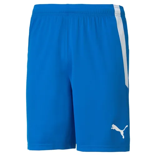Puma Sporthose teamLIGA Shorts kurz blau Herren, Größe: M