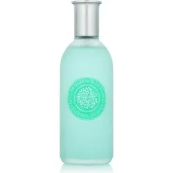 AGUA DE NARANJOS 125 ML VAPO - Erfrischendes Eau de Toilette - Eau de Toilette für Damen mit einem belebenden Orangenaroma, perfekt für den täglichen Gebrauch und einen frischen Duft.