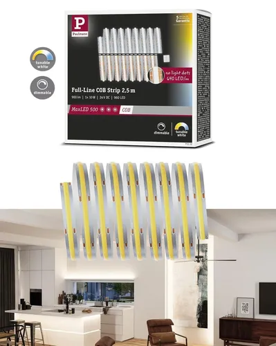 Lichtschläuche & Lichterketten Silber von Paulmann