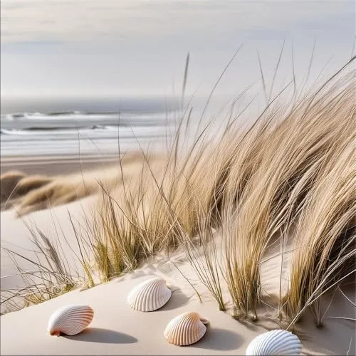 artissimo Glasbild 50x50cm - Dünenlandschaft IV - Bilder: Quadratisches Glasbild mit zeitgenössischer Fotografie eines Strands, ideal für stilvolle Innenräume und bringt die Ruhe des Meeres in Ihr Zuhause.