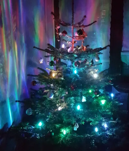 LED Weihnachtskerzen mit Stecksystem RGB in beige von Trango