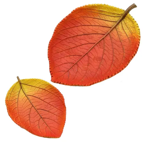 Dekohelden24 Dekoschale Herbstblatt - Herbstschale - Dekoschale in Blattform als 2er Set