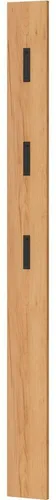 Germania Garderobenpaneel 3728-243, Eiche mit 3 ausklappbaren Kleiderhaken - Wandgarderobe in Navarra-Eiche, mit 3 ausklappbaren Haken (je bis 5 kg belastbar), ideal für schmale Flure und platzsparend.