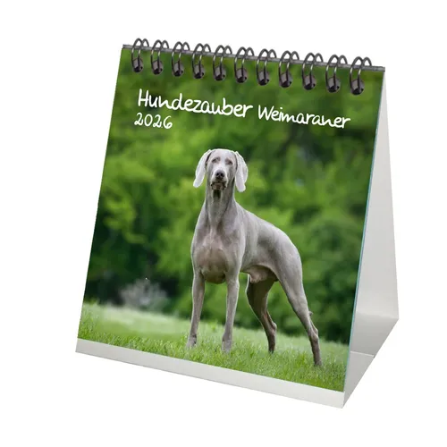 Hundezauber Weimaraner Tischkalender 10cm x 10cm für 2026 Welpen und Hunde - See