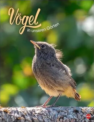 Vögel in unseren Gärten Posterkalender 2024. Viele Fotos und informative Texte zu 12 Vogelarten in einem faszinierenden Wandkalender. Dekorativer Kalender mit Mehrwert für Tierfreunde.