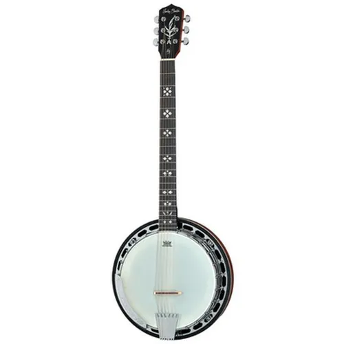 BJ-65Pro 6 String Banjo