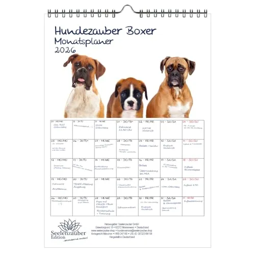 Hundezauber Boxer Planer DIN A4 Kalender für 2026 Welpen und Hunde - Seelenzauber