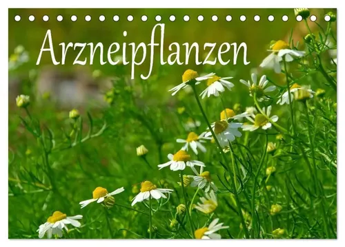 LianeM LianeM | Arzneipflanzen (Tischkalender 2026 DIN A5 quer), CALVENDO...