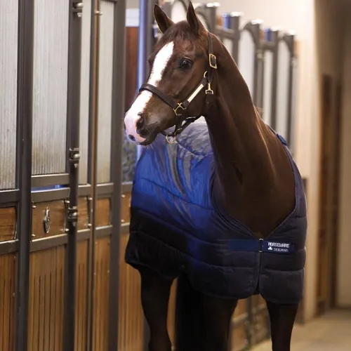 Horseware Liner 100g - Navy, 130 - Kombinierbare Unterdecke für Pferde mit 100g Thermobonded Fibrefill-Füllung, ideal für wechselnde Witterung. Passt zu Rhino, Rambo und Amigo Bravo 12 Decken.