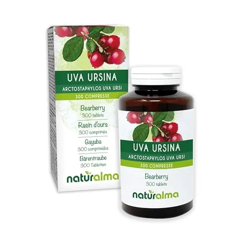 Bärentraube (Arctostaphylos uva ursi) Blätter Naturalma