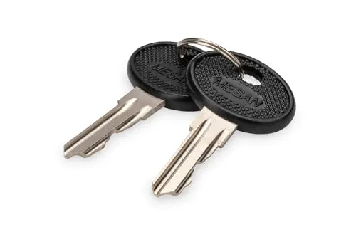 DIGITUS Ersatzschlüssel für Varioflex-Netzwerkschränke, Unique-Wandgehäuse & Serverschränke und IP55-Wandgehäuse - Zwei Stück - Schwarz/Silber