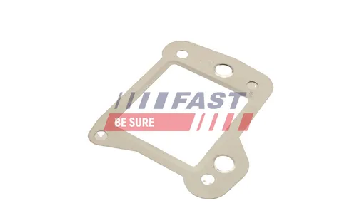 Fast Dichtungssatz, AGR-System FT50621