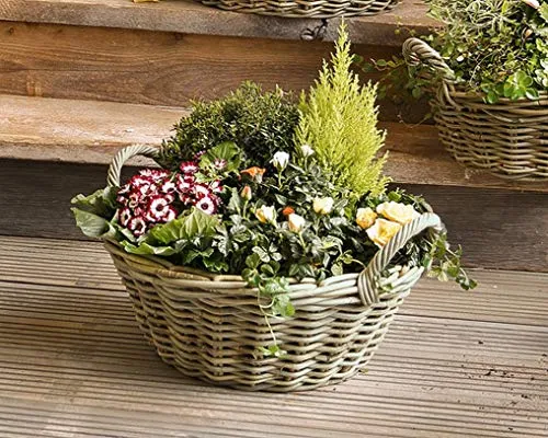 Dekoleidenschaft Pflanzschale Koboo Grey Ø 43x18 cm groß, aus Rattan, rund, grau, Pflanzkorb, Blumentopf, Pflanztopf für Draußen, Blumenkübel