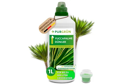 Purgrün Yucca Palme Dünger 1L von Purgrün