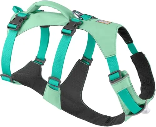 RUFFWEAR® Hundegeschirr Flagline Harness 2.0, Türkis - Für Outdoor & Alltag - Weiteres Autozubehör: Das leichte, multifunktionale Geschirr mit gepolstertem Handgriff bietet optimalen Komfort für Ihren Hund und einfache Handhabung bei Ausflügen.