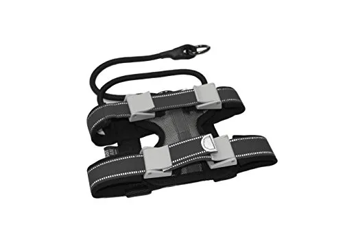 Cesar Millan Pack Leader Collar™