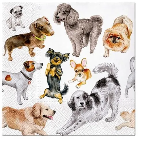 Servietten Dog Happiness Hunderassen Tiere Haustiere Bester Freund 33x33cm 20