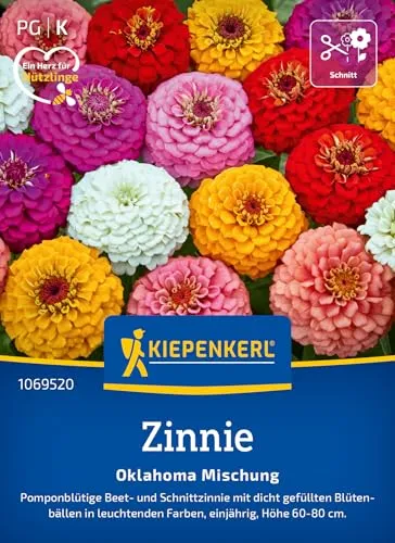 Kiepenkerl Zinniensamen Oklahoma Mischung 1069520 - Pomponblütige Beet- und Schnittzinnie mit dicht gefüllten Blütenbällen - Pflanzen, Blumensamen, Saatgut