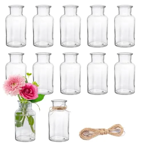 DATEFUN 12 Stück Mini Glasvasen, 250ml kleine Väschen mit Juteschnur, Blumenvasen Tischvasen Glasvasen Dekoflaschen Glasflaschen, Glasfläschchen für Tischdeko Mittelstücke, Hochzeitsdekorationen