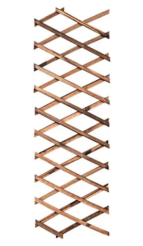 XIANTIAN Erweiterbares Rankgitter für Kletterpflanzen Rankgitter Zaun Holzzaun 2 m × 0,3 m (0,7 × 200 × 30 cm) 0,7 cm dick
