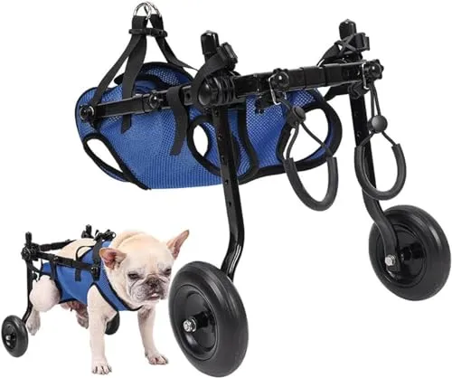 Verstellbarer Rollstuhl für Hunde bis 8 kg – Mobilitätshilfe für verletzte Welpen