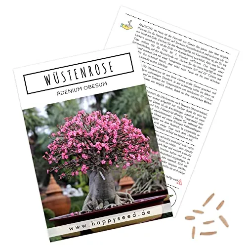 Außergewöhnliche Bonsai Samen mit hoher Keimrate - Pflanzen Samen Set für deinen eigenen Bonsai Baum (1x Wüstenrose)