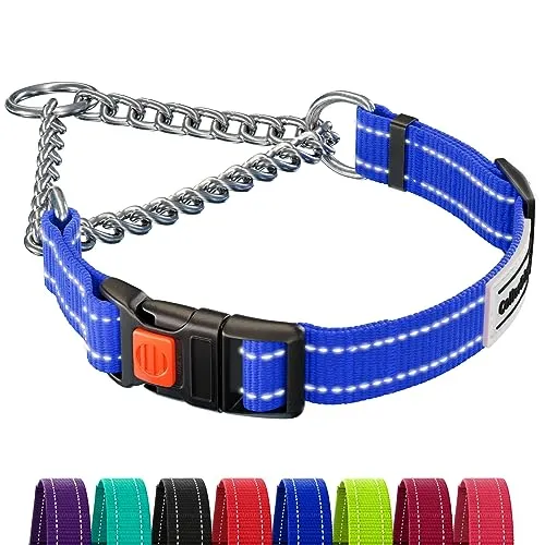 CollarDirect Reflektierendes Hundehalsband, Martingale-Halsbänder, seitliche Schnalle, Kette Training, verstellbare Haustier Halsbänder (Blau, S, 30-37 cm)