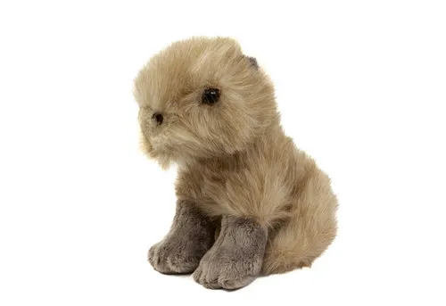 Teddys Rothenburg Kuscheltier Capybara Wasserschwein 18 cm sitzend Plüschtier (Stofftier, Plüschcapybara, Stoffcapybara)
