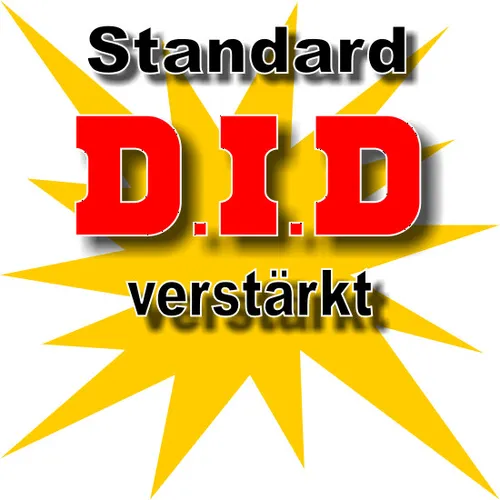 DID verstärkt Kettenkit Yamaha DT 125 X, 05-06, DE062