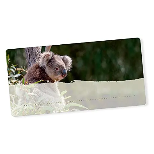 itenga 40x Buchetiketten Heftetiketten 9x4,5cm I Schulheft Etiketten I Namensschild beschreibbar selbstklebend Aufkleber aus Haftpapier (Koala)