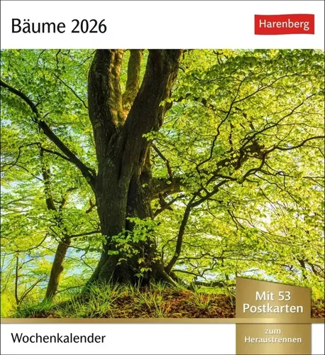 Bäume Postkartenkalender 2026 - Wochenkalender mit 53 Postkarten | Kalender