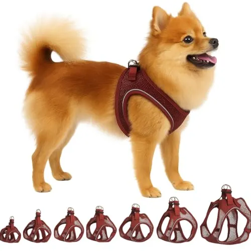 Hundegeschirr - hundegeschirr kleine Hunde - S - Flamingo Harness Step&Go Bento Aubergine