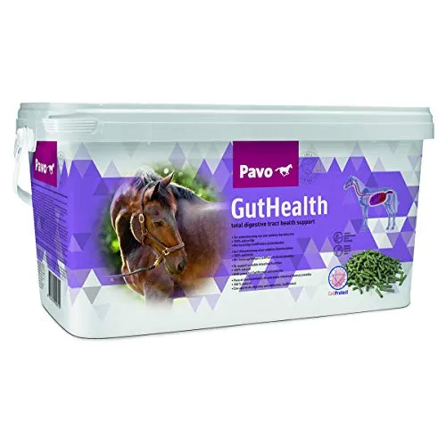 Pavo GutHealth | Unterstützt eine gesunde Verdauung | 7,5 KG
