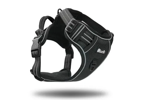 bluzelle Hundegeschirr für kleine Hunde, Reflektierendes Brustgeschirr mit GPS-Tasche - Weiteres Autozubehör und effektives Anti-Zug Design für entspannte Spaziergänge. Integrierte GPS-Tasche für sichere Aufbewahrung von Tracker und ID-Tags.