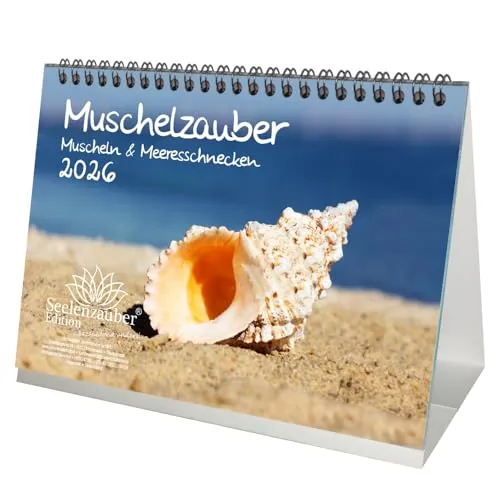 Muschelzauber Muscheln DIN A5 Tischkalender für 2026 Muscheln Meer Strand - Seelenzauber