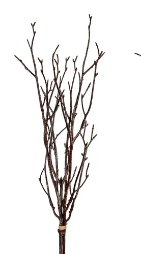 Deko Zweige Bündel H. 54cm braun Formano F26