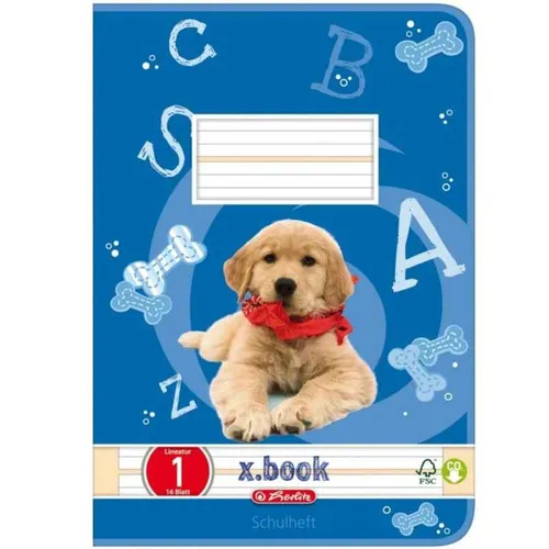 Schulheft - DIN A5 - Lineatur 1 - 16 Blatt - 10 St