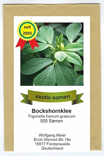 Bockshornklee - Bienenweide - Gewürz- und Arzneipflanze - salz- und trockentolerant - 500 Samen